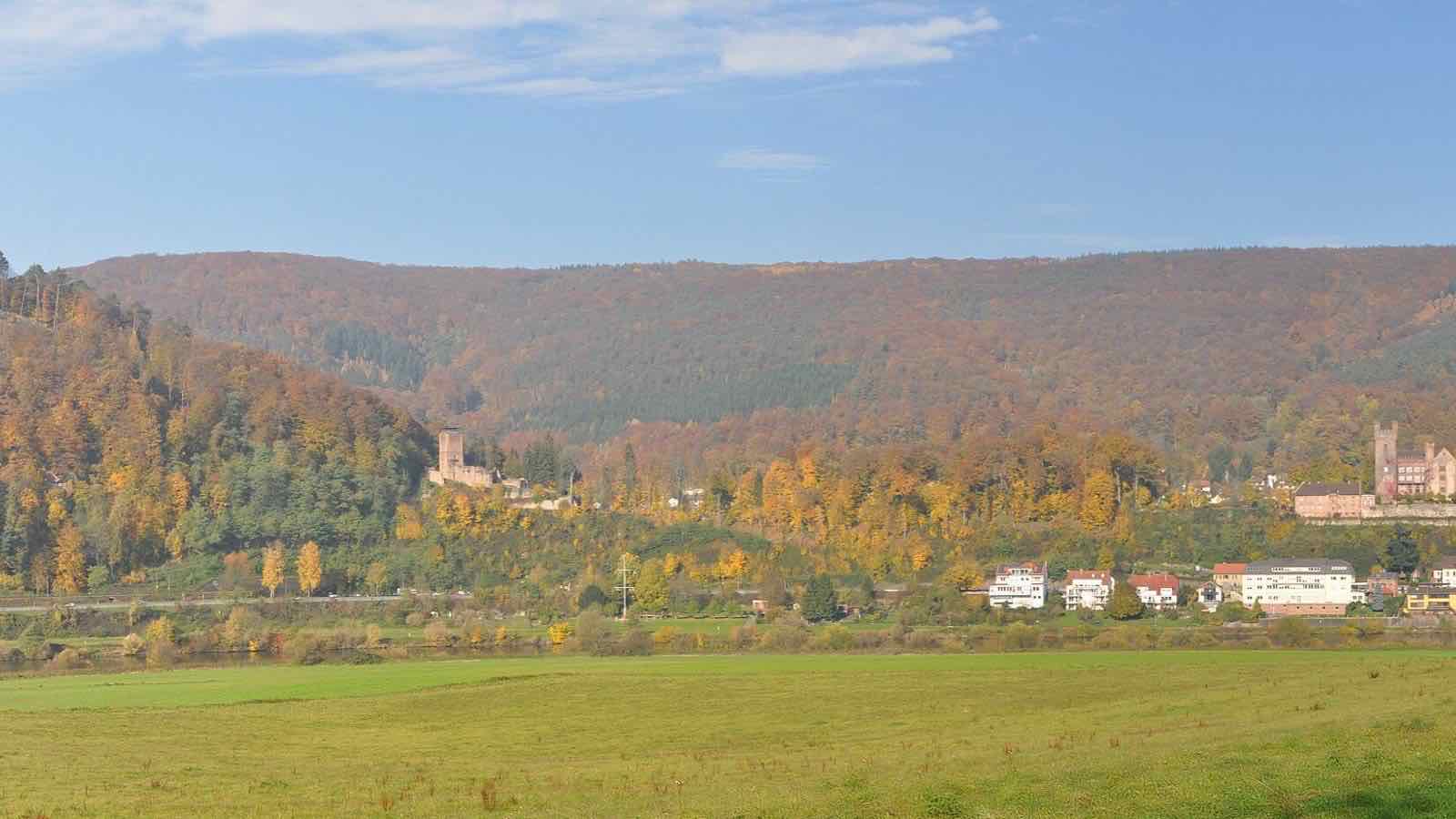 Ortsansicht von Neckarsteinach im Kreis Bergstraße